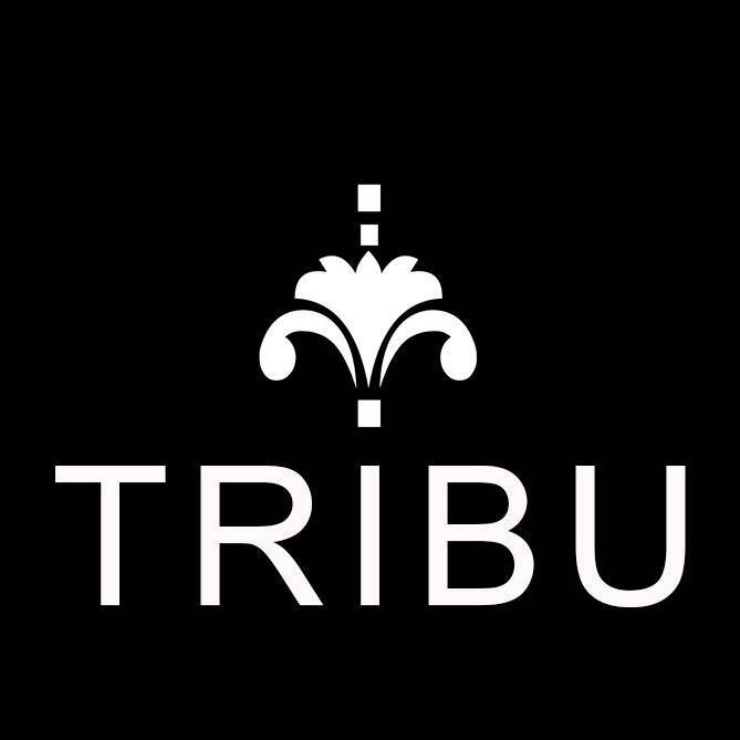 Boutique-Tribu-logo