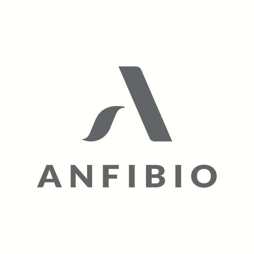 Anfibio